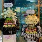 05092610 - Tháp trái cây kính lễ