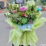 24082624 - bó hoa sen đá sang trọng