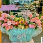 0109202631 - giỏ trái cây tone pastel