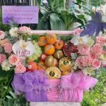 0109202608 - giỏ trái cây biếu tặng mix lan hồ điệp