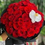 24082619 - bó hoa đỏ ecuado mix lan hồ điệp