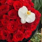 24082619 - bó hoa đỏ ecuado mix lan hồ điệp