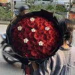 24082621 - bó hoa đỏ ecuado 99 bông