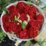 24082622 - bó hoa ohara đỏ