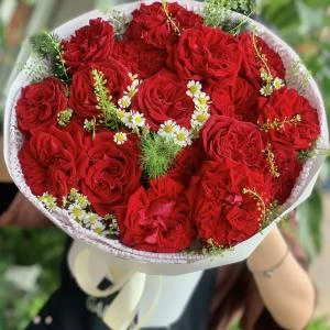 24082622 - bó hoa ohara đỏ