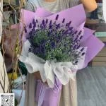 24082623 - bó hoa lavender ( oải hương ) tím thơ mộng
