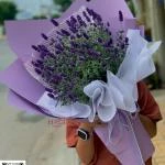 24082623 - bó hoa lavender ( oải hương ) tím thơ mộng