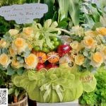 0109202622 - giỏ trái cây tone xanh bơ