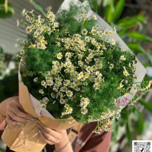 24082629 - bó hoa cúc tanna mùa thu