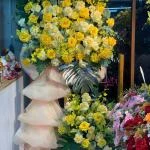 1410202611 - kệ khai trương vàng rực rỡ