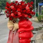 1410202619 - kệ khai trương
