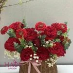 Gio hoa đỏ khai trương