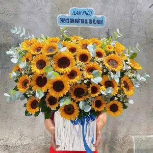 Hộp hoa hướng dương khai trương, sinh nhật tone vàng