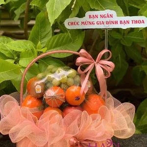 HD 06 - Giỏ trái cây 600k