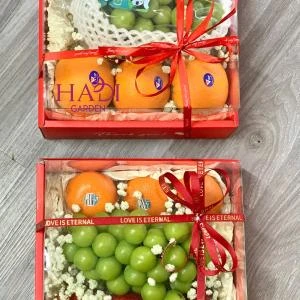 HD03 - Giỏ trái cây 500k