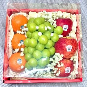 HD08 - Hộp trái cây Mica sang trọng 500k