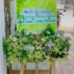 25102506 - kệ hoa khai trương