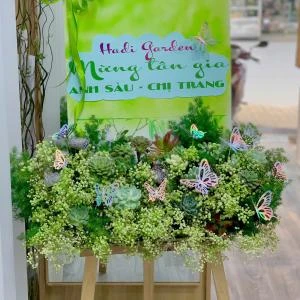 25102506 - kệ hoa khai trương