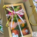 14112521- hộp trái cây có túi