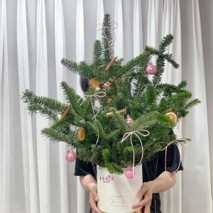 14112510 - cây thông đan mạch noel