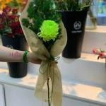 02122505 - Bó hoa 1 bông đơn giản, sang trọng