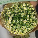 01122512 - Bó hoa tốt nghiệp tone xanh