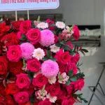 27122504 - kệ hoa khai trương hiện đại rực rỡ