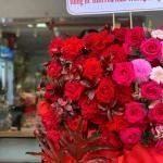 27122504 - kệ hoa khai trương hiện đại rực rỡ