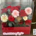 14112516 - hộp hoa đỏ mica xách tay