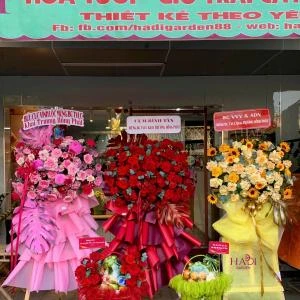 icon Hoa Khai Trương