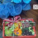 14112533 - Hộp trái cây có túi cầm