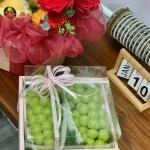 14112533 - Hộp trái cây có túi cầm