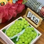 14112533 - Hộp trái cây có túi cầm