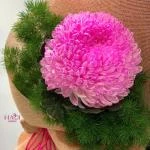 21012614 - hoa bó 1 bông