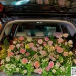 23022603 - cốp xe vườn garden