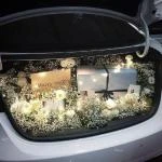 23022604 - Cốp xe baby mix cát tường trắng