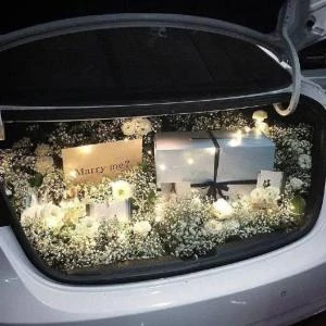 23022604 - Cốp xe baby mix cát tường trắng