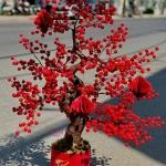 23022613 - hoa khai trương đào đông hiện đại