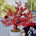 23022613 - hoa khai trương đào đông hiện đại