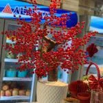 23022613 - hoa khai trương đào đông hiện đại