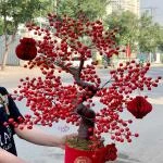 23022613 - hoa khai trương đào đông hiện đại