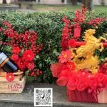 21012628 - set quà linh vật kèm rượu mix đào đông