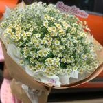 24022610 - Bó hoa tanna siêu cute nhà Hadi