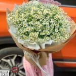 24022610 - Bó hoa tanna siêu cute nhà Hadi