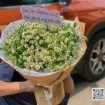 24022610 - Bó hoa tanna siêu cute nhà Hadi