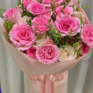 24022614 - bó hoa tone hồng lạc thần