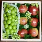 24022620 - hộp trái cây mix quả