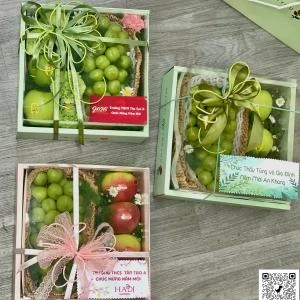 24022621 - hộp trái cây giá học sinh