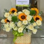 24022640 - giỏ hoa hướng dương