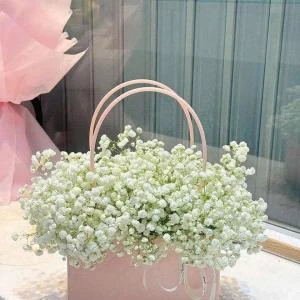 24022661 - giỏ hoa baby 300k